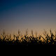 Image for article titled Shooting Challenge Sunset Gallery 1